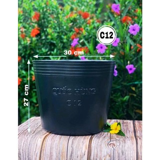 Chậu trồng cây c12 combo 50 cái