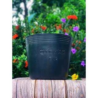 Chậu Trồng Cây C12