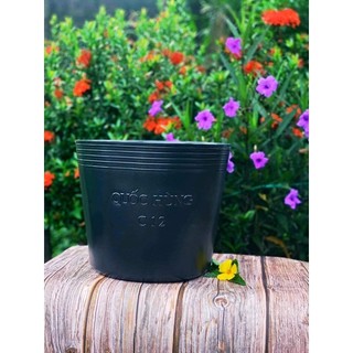 Chậu Trồng Cây C12