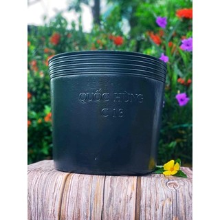 Chậu Trồng Cây C13 Combo 30 cái