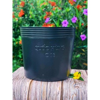 Chậu Trồng Cây C13 Combo 30 cái
