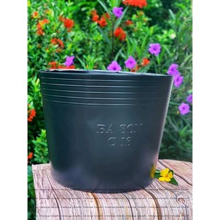 chậu nhựa C16 dầy dặn