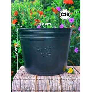 chậu nhựa C16 dầy dặn