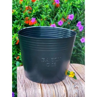 chậu nhựa C16 dầy dặn