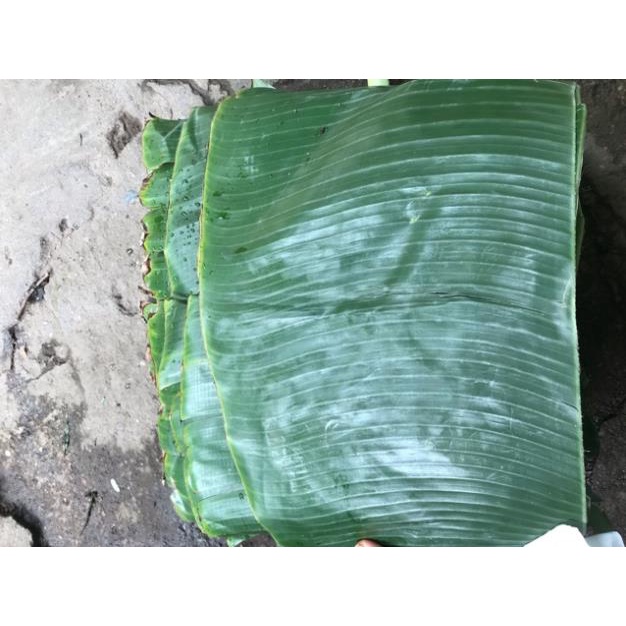 1kg lá chuối tươi  -  - lá chuối sạch giá RẺ NHẤT