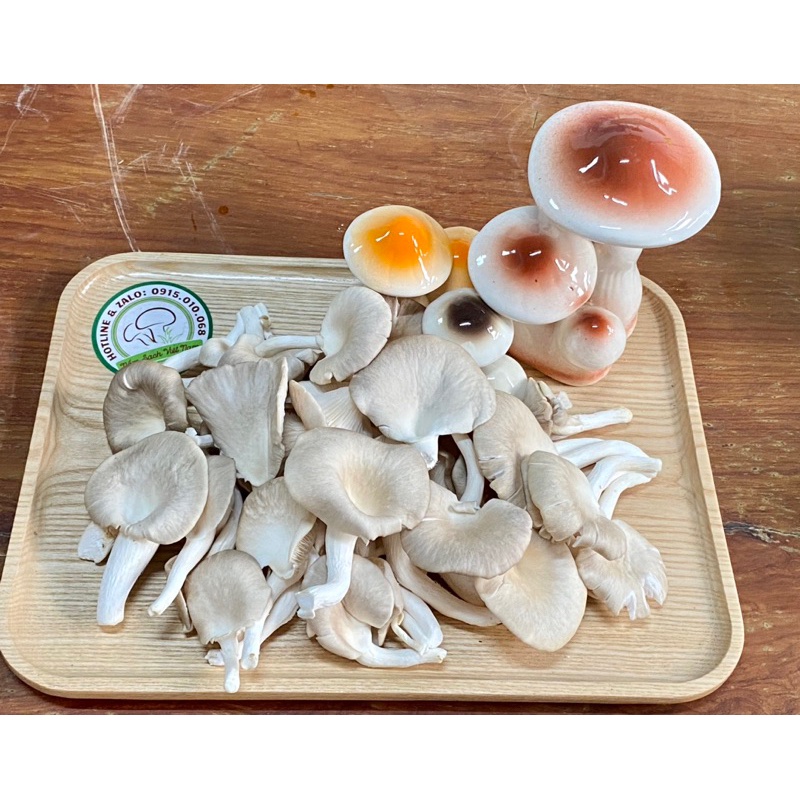 Nấm Ăn Lẩu - Nấm Sò Nâu / Trắng  | Nấm Sạch - giao Hỏa Tốc