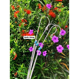 Móc Treo Lan Kẽm Dày 60cm