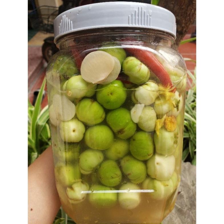 Cà Pháo Muối truyền thống vị Bắc Chua Cay ngọt - túi 100g - giao Hoả Tốc