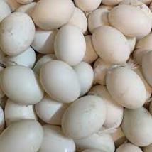 Trứng Vịt quê tươi sạch  vận chuyển hỏa tốc Hà Nội