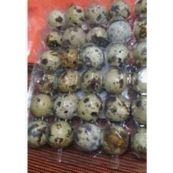 Trứng Chim Cút Tươi, cút lộn - 20 quả - giao Hoả Tốc
