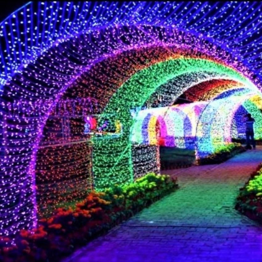 Dây đèn led nháy kim cương Q8 cao cấp 10m,20m,40m,50m bóng led to,có hộp điều khiển nhiều chế độ nháy trang đào quất