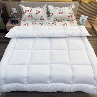 Ruột chăn Muji xuất Nhật KT 2m*2m2 - TH09
