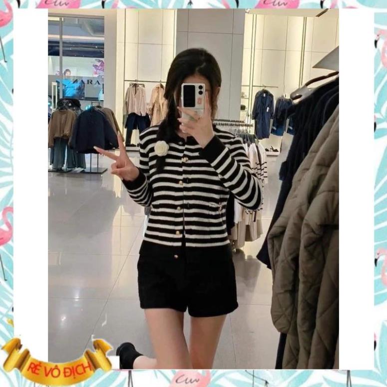 Áo len cadigan basic cúc đồng nhiều màu 2 túi siêu đẹp hàng quảng châu hothitt