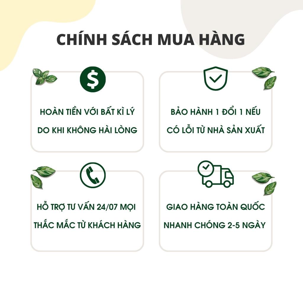 Nước trôn gỏi Thích Cay, sốt trộn salad, thơm ngon, tiện dụng, công thức gia truyền