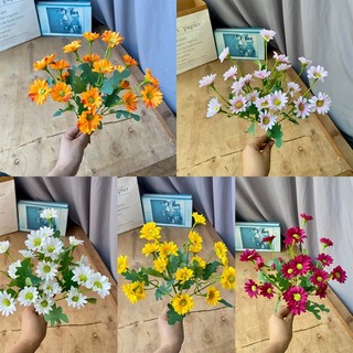 Hoa giả, hoa cúc tana cúc họa mi trang trí decor