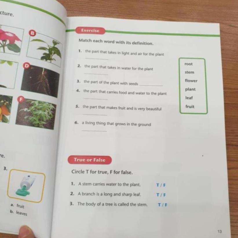 American Textbook Reading - 8q + File MP3.