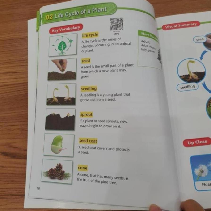 American Textbook Reading - 8q + File MP3.