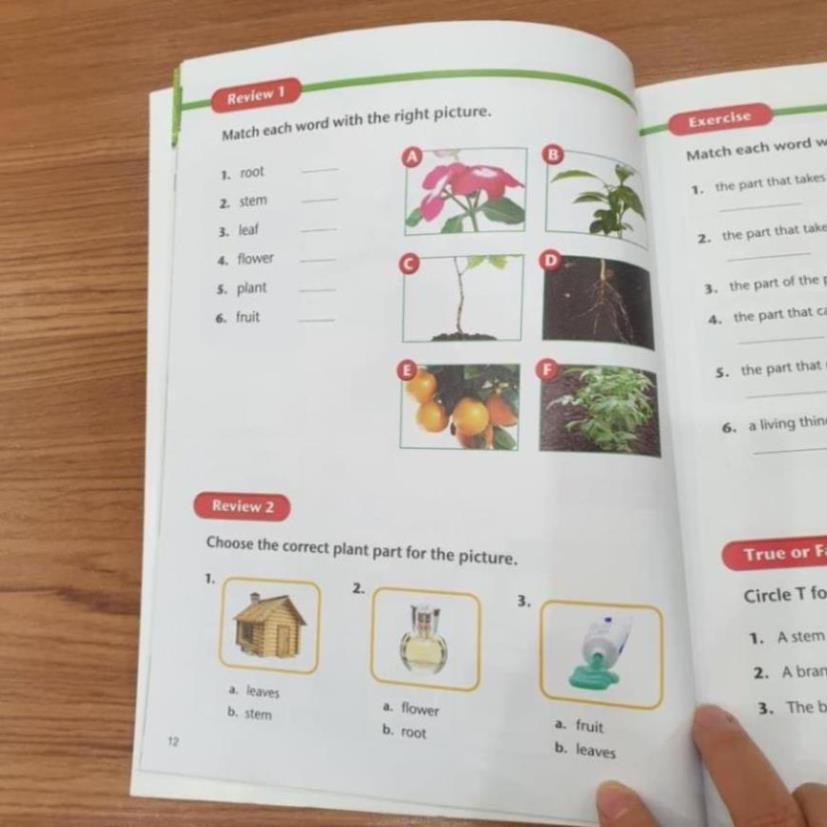 American Textbook Reading - 8q + File MP3.