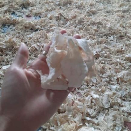 SÂM TỐ NỮ KHÔ NGUYÊN CHẤT 1KG hàng Việt Nam