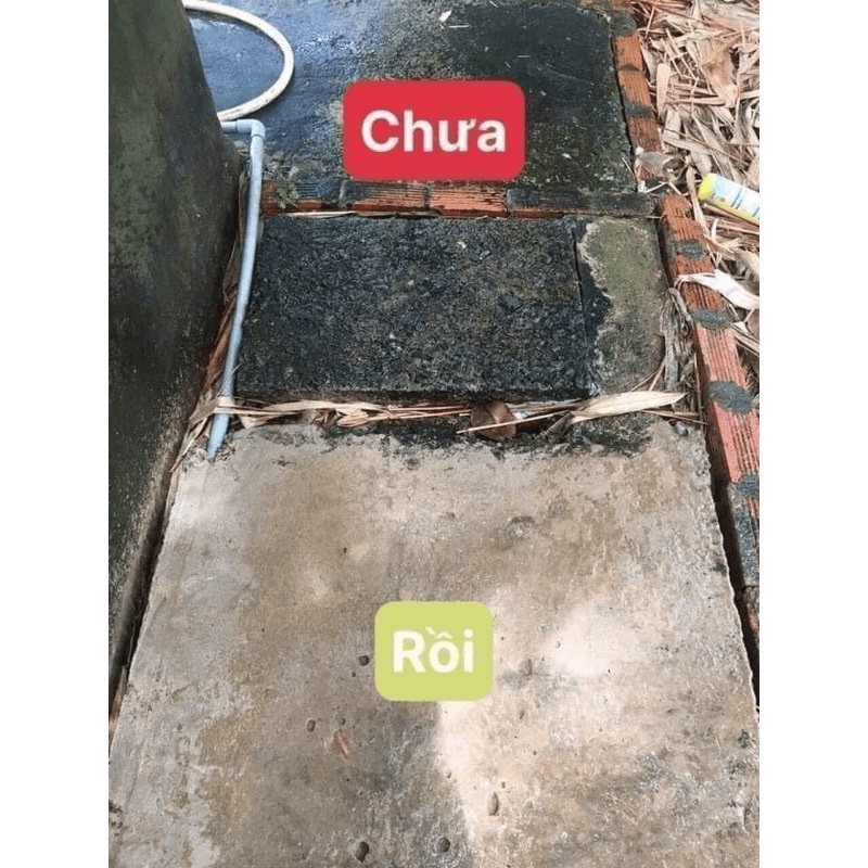 BỘT TẨY RONG RÊU TRÊN NỀN GẠCH, XI MĂNG 450g