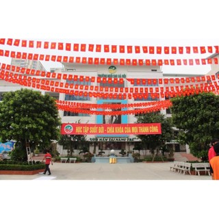 Vải sa tanh cờ dây 10m tổ quốc và cờ đảng
