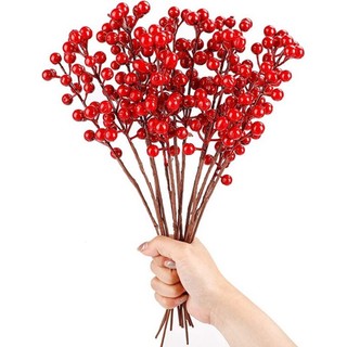 Đông đào chùm (chùm 12 quả - dài 20cm)