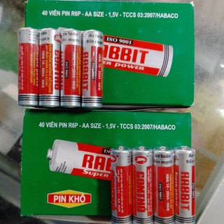 Pin con thỏ aa và aaa