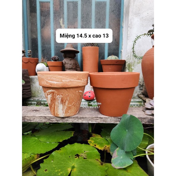Chậu đất nung - chậu ly gờ miệng 14.5, cao 13