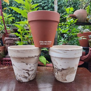 Chậu đất nung - chậu ly gờ miệng 15 - 16, cao 15