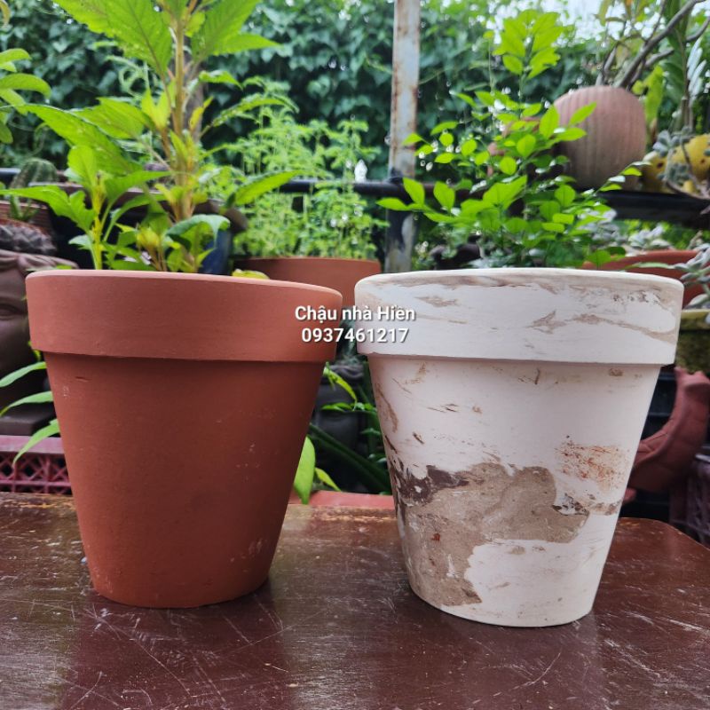 Chậu đất nung - chậu ly gờ miệng 18, cao 18