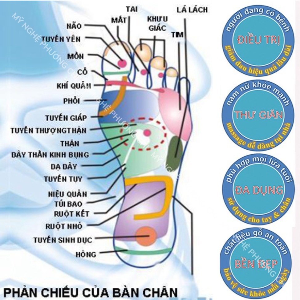 Bàn lăn chân massage bằng gỗ tự nhiên bấm huyệt thư giãn hiệu quả