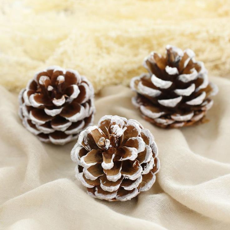 Quả thông khô trang trí noel sự kiện