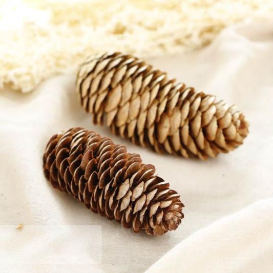 Quả thông khô trang trí noel sự kiện
