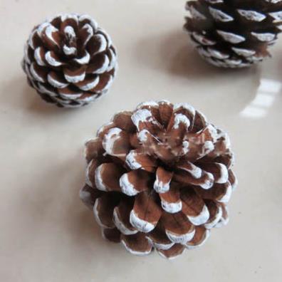 Quả thông khô trang trí noel sự kiện