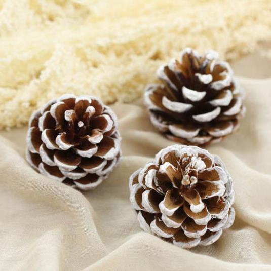 Quả thông khô trang trí noel sự kiện