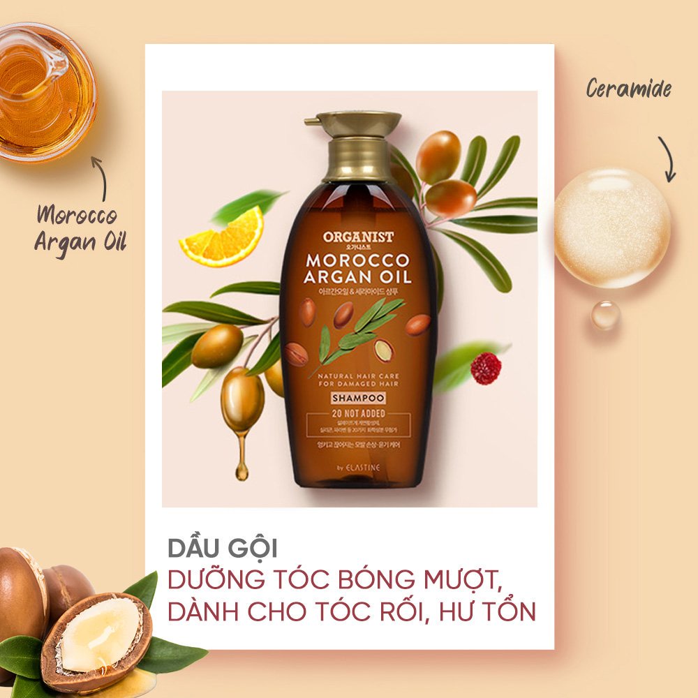 Bộ đôi Dầu gội và dầu xả nuôi dưỡng tóc Organist chiết xuất từ Morocco Argan