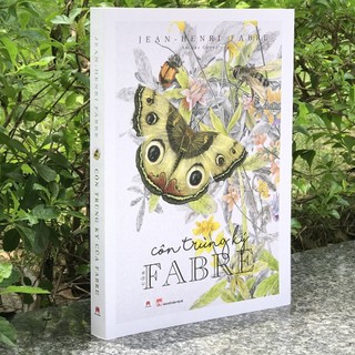 Sách - Côn Trùng Ký Của Fabre - HHB