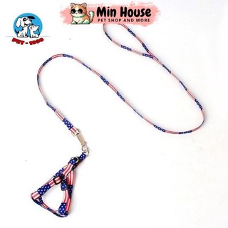 Đai dắt chó mèo thú cưng đi dạo