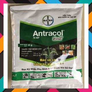 Thuốc trị nấm Antracol: phòng trị các bệnh vàng lá, thối rễ trên hoa, cây cảnh