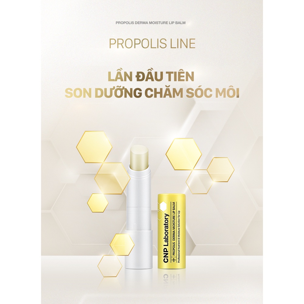 Son dưỡng mềm môi keo ong dưỡng ẩm CNP Propolis Derma Moisture Lip Balm 4g