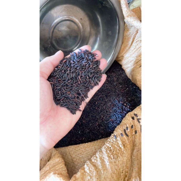 Bán buôn bán lẻ Gạo lứt đen dẻo ngon nông sản hùng lỳ cao nguyên hà giang