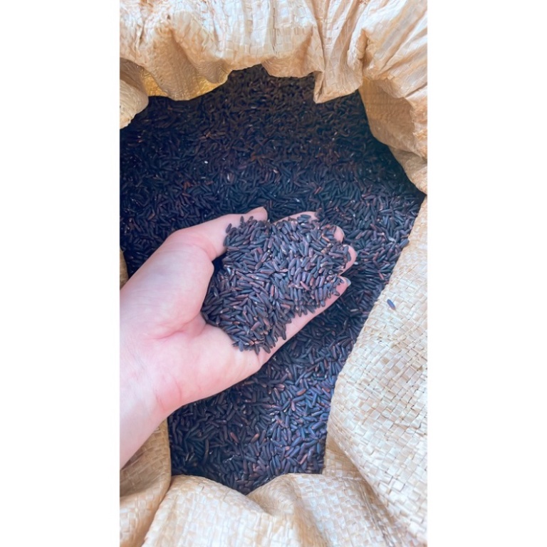 Bán buôn bán lẻ Gạo lứt đen dẻo ngon nông sản hùng lỳ cao nguyên hà giang