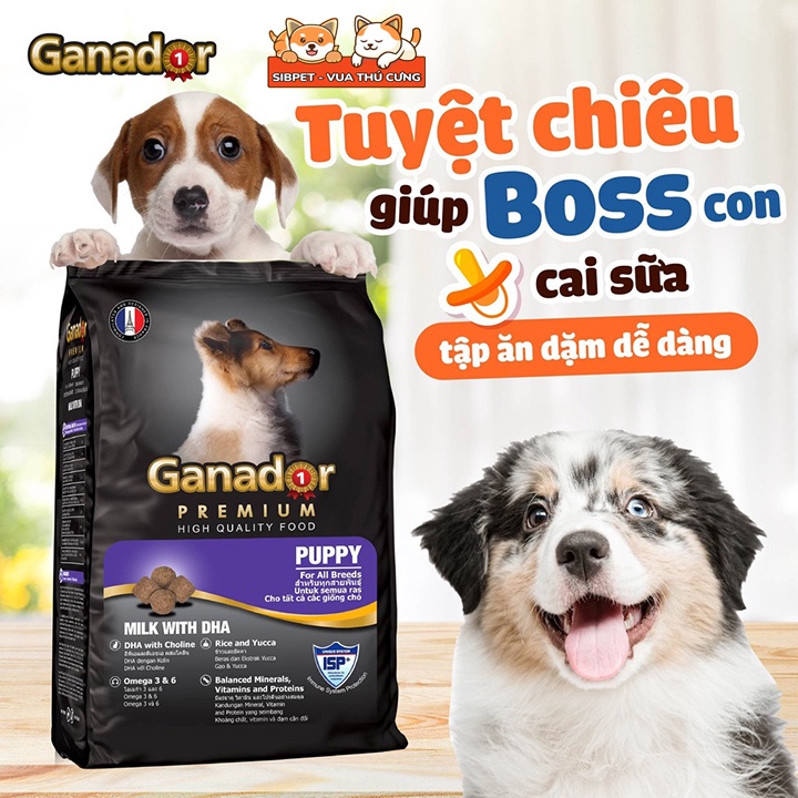 Thức Ăn Hạt Khô Ganador FIB'S Đồ Ăn Cho Chó Con, Chó Lớn 400g - TT041