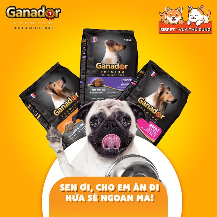 Thức Ăn Hạt Khô Ganador FIB'S Đồ Ăn Cho Chó Con, Chó Lớn 400g - TT041