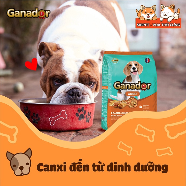 Thức Ăn Hạt Khô Ganador FIB'S Đồ Ăn Cho Chó Con, Chó Lớn 400g - TT041