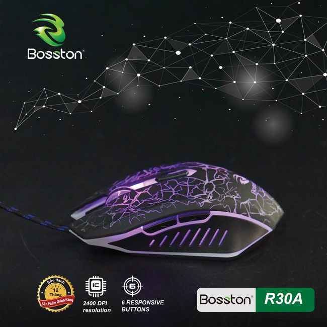 Chuột máy tính Bosston R30A LED
