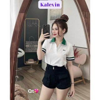 Áo polo nữ, áo thun nữ chất liệu vải poly cá sấu - trend fashion