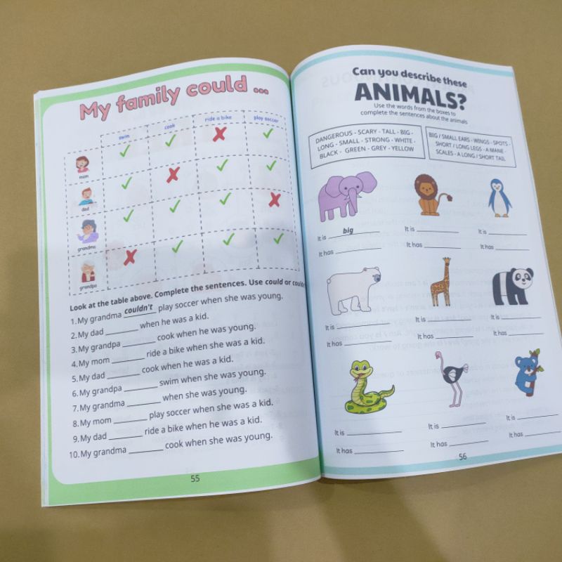 Get ready for Flyers - Grammar and Vocabulary