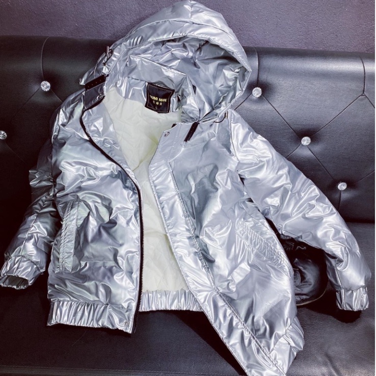 Áo Phao Bạc Nam 269 Thời Trang Nam Cao Cấp Chất Liệu Lông Vũ Họa Tiết Dập Vân Ngang Phù Hợp Cho Mùa Đông Có F