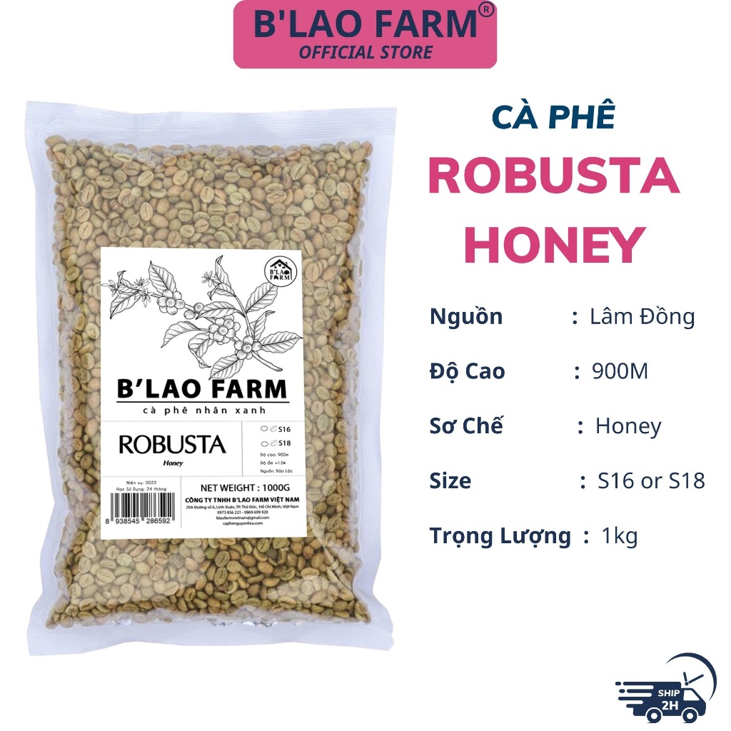 Cà phê nhân xanh ROBUSTA HONEY B'Lao Farm cafe chưa rang sơ chế honey cao cấp tỷ lệ chín cao túi 1kg HNX18